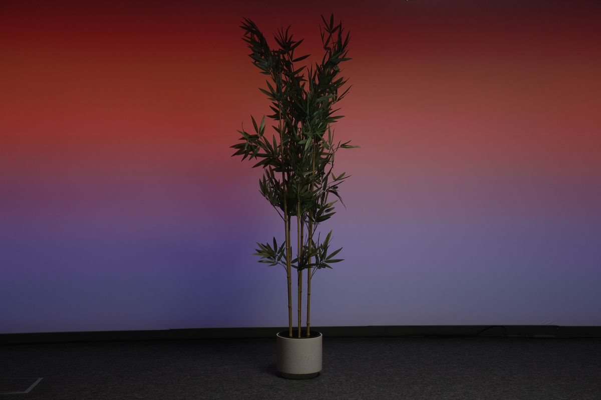 Bamboo · floor