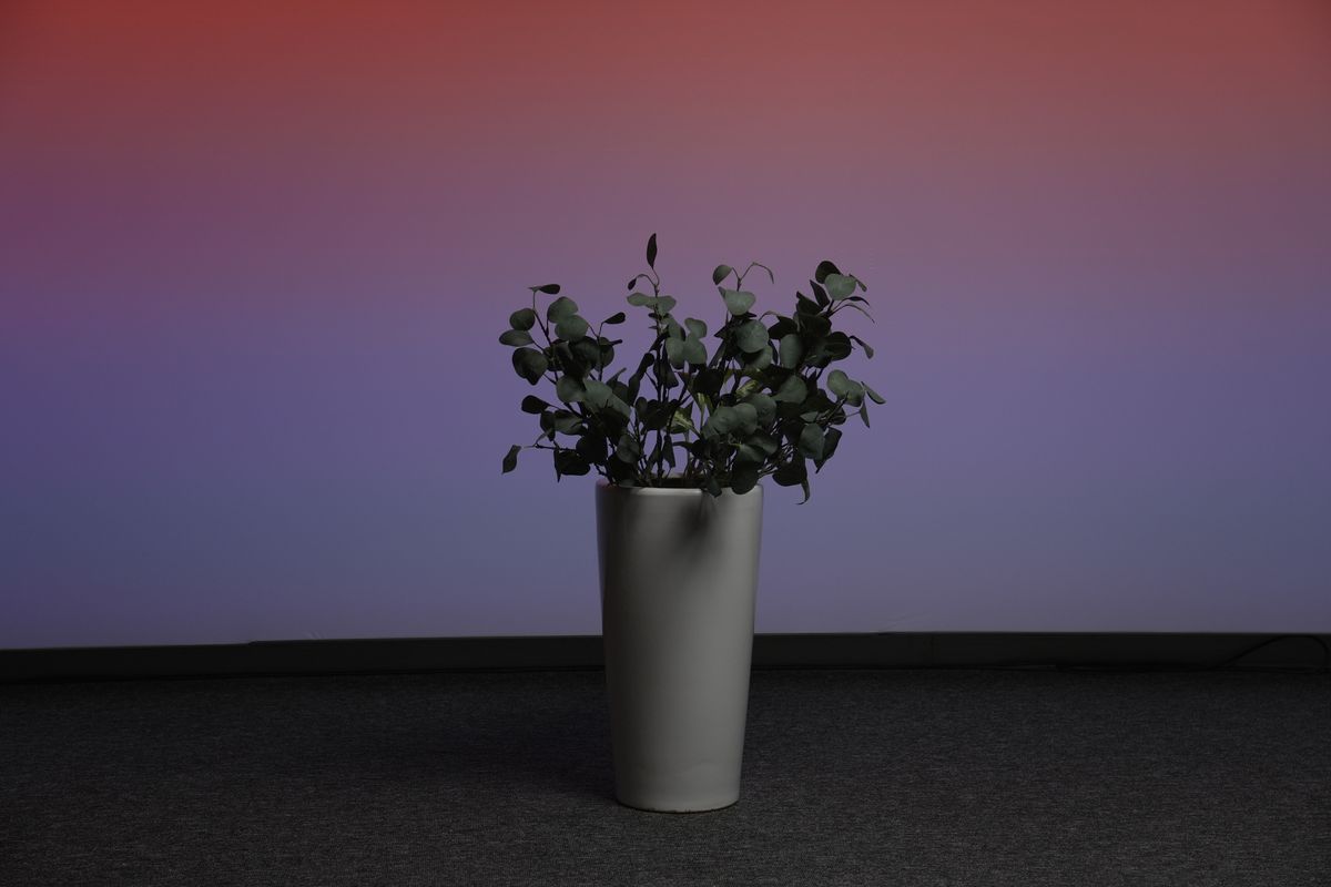 Greenery in a floor vase